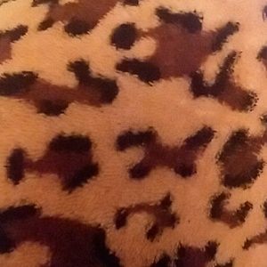 Meet your Posher, Karla